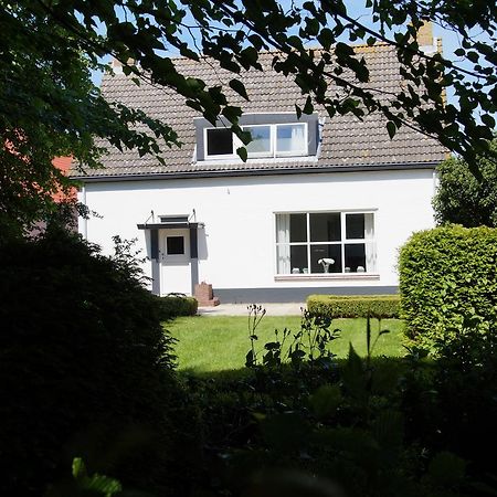 Vakantiehuizen Hofstede Elzenoord 弗劳温普尔德 外观 照片