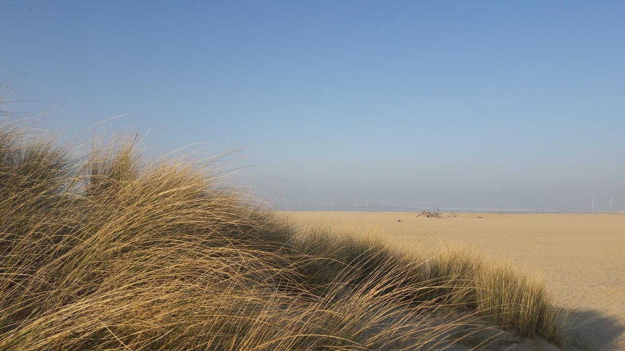 Vakantiehuizen Hofstede Elzenoord 弗劳温普尔德 外观 照片